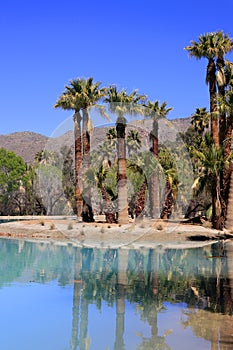 Agua Caliente Park, Tucson AZ