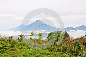 Agua Volcano, Guatemala