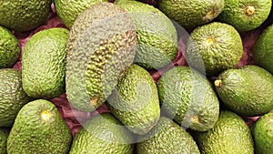 Aguacate avocado natural