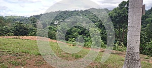 Aguada Puerto Rico Back Road with Mountain Views