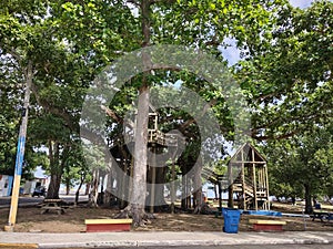 Aguadilla Puerto Rico parque colon treehouse photo