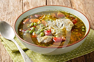 Aguadito de pollo Peruvian soup with cilantro, vegetables and chicken closeup on the bowl. Horizontal photo