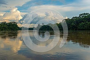 Aguarico River and Amazon Rainforest, Cuyabeno, Ecuador