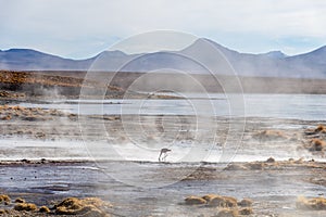 Aguas termales de Polques, hot springs with a pool of steaming natural thermal water in Bolivia