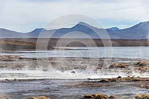 Aguas termales de Polques, hot springs with a pool of steaming natural thermal water in Bolivia