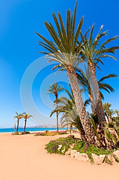 Aguilas Poniente beach Murcia in Spain photo