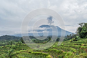 Agung volcano eruption view near rice fields, Bali