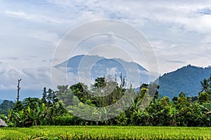 Agung volcano eruption view near rice fields, Bali