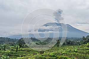 Agung volcano eruption view near rice fields, Bali