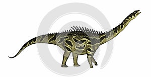 Agustinia dinosaur - 3D render