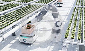 AGV robot courier cars transporting hydroponics vegetable crates to stock in warehouse for delivery to customers in greenhouse
