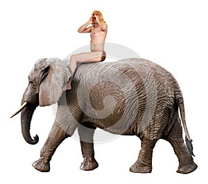 Tarzan Yell, King of Jungle, Man Ride Elephant, Isolated