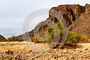 Aharhar Canyon. Illizi Province, Djanet, Algeria, Africa