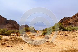 Aharhar Canyon. Illizi Province, Djanet, Algeria, Africa