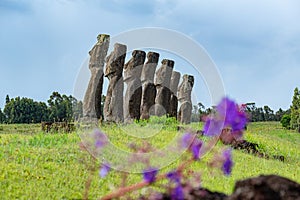 Ahu Akivi in Rapa Nui or Easter Island in the ValparaÃÂ­so Region of Chile photo