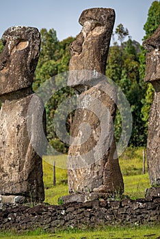 Ahu Akivi in Rapa Nui (or Easter Island) in the ValparaÃ­so Region of Chile