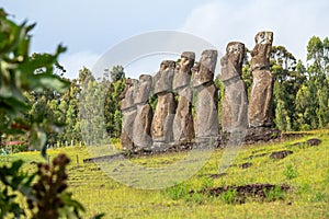 Ahu Akivi in Rapa Nui (or Easter Island) in the ValparaÃ­so Region of Chile