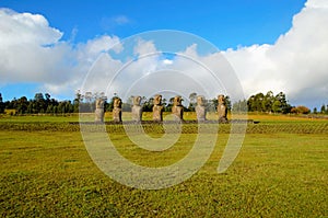 Ahu Akivi seven Moai photo