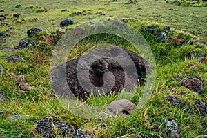 Ahu Vinapu is an archaeological site on Rapa Nui Easter Island , Chile