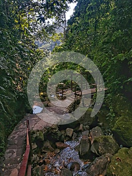 Ahuashiyacu path to the waterfalls in Tarapoto. San Martin. Peru