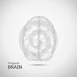 Polygonal brain with connection line