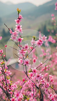 AI creates images of cherry japanese blossom branch,