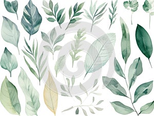 Ai Generated Art Watercolor Painting of Different Leaves of Diverse Shapes and Forms against the white background