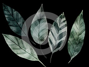 Ai Generated Art A Watercolor Painting of Leaves Against the Black Background in Bright Pastel Sage Green Colors