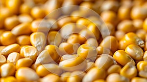 AI-generated Golden Corn Kernels Macro