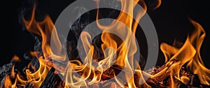 A bunch of fire flames on a black background.