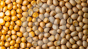 AI-generated Golden Corn Kernels Background