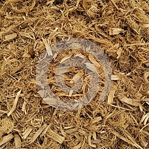 AI generated Description* Suggested by our AI engine