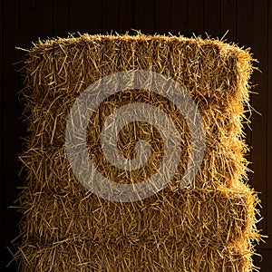 AI generated Description* Suggested by our AI engine