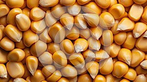 AI-generated Corn Kernels Macro Background