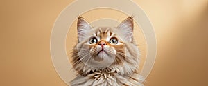 AI-generated fluffy ginger kitten looking up with curious expression on soft golden background in realistic portrait lighting