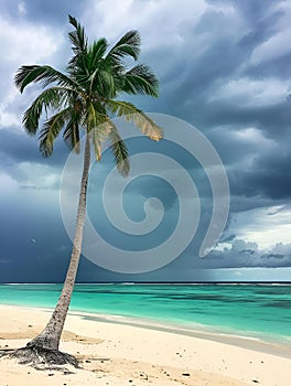 AI-generated illustration of a beach scene with a lone palm tree against an ocean backdrop