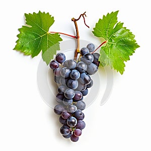 AI generated illustration of a bunch of grapes with fresh green leaves on white background