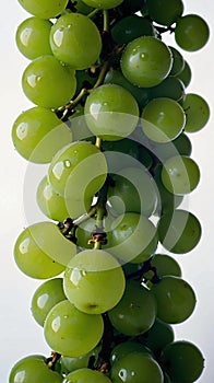 AI generated illustration of a cluster of green grapes
