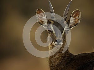 AI generated illustration of Endangered species - Saola