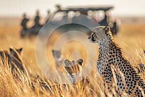 AI-generated illustration of a family of cheetahs seen in a grassy field