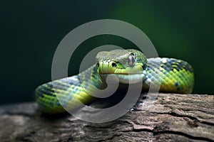 AI generated illustration of a green snake
