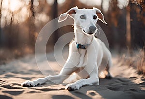 AI generated illustration of a Greyhound dog lounging on sandy beach under the sun