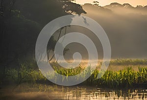 AI generated illustration of a lake surrounded by greenery at golden hour