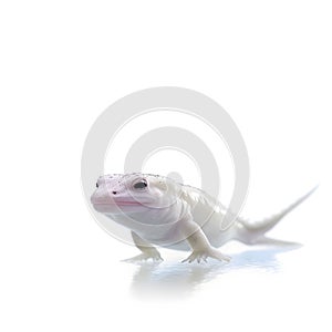 An AI generated illustration of a portrait of an enchanting axolotl (Ambystoma mexicanum)