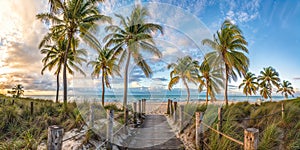 AI generated illustration of a sandy beach boardwalk flanked by lush tropical grasses