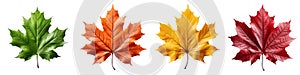 AI generated illustration of vibrant autumnal four fall leaves in various colors