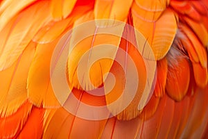 AI generated illustration of vibrant orange parrot feathers