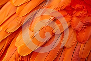 AI generated illustration of vibrant orange parrot feathers