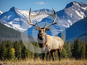 Ai Generated illustration Wildlife Concept of Bugling Elk