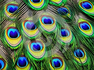 Ai Generated illustration Wildlife Concept of Detail of peacock feather eye